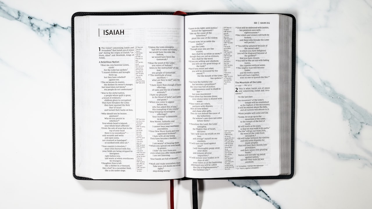 Types of TV Boxes in The Market to Try Today